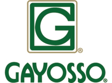 Meses Sin Intereses en Gayosso