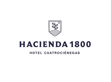 Obtén 10% de Cashback